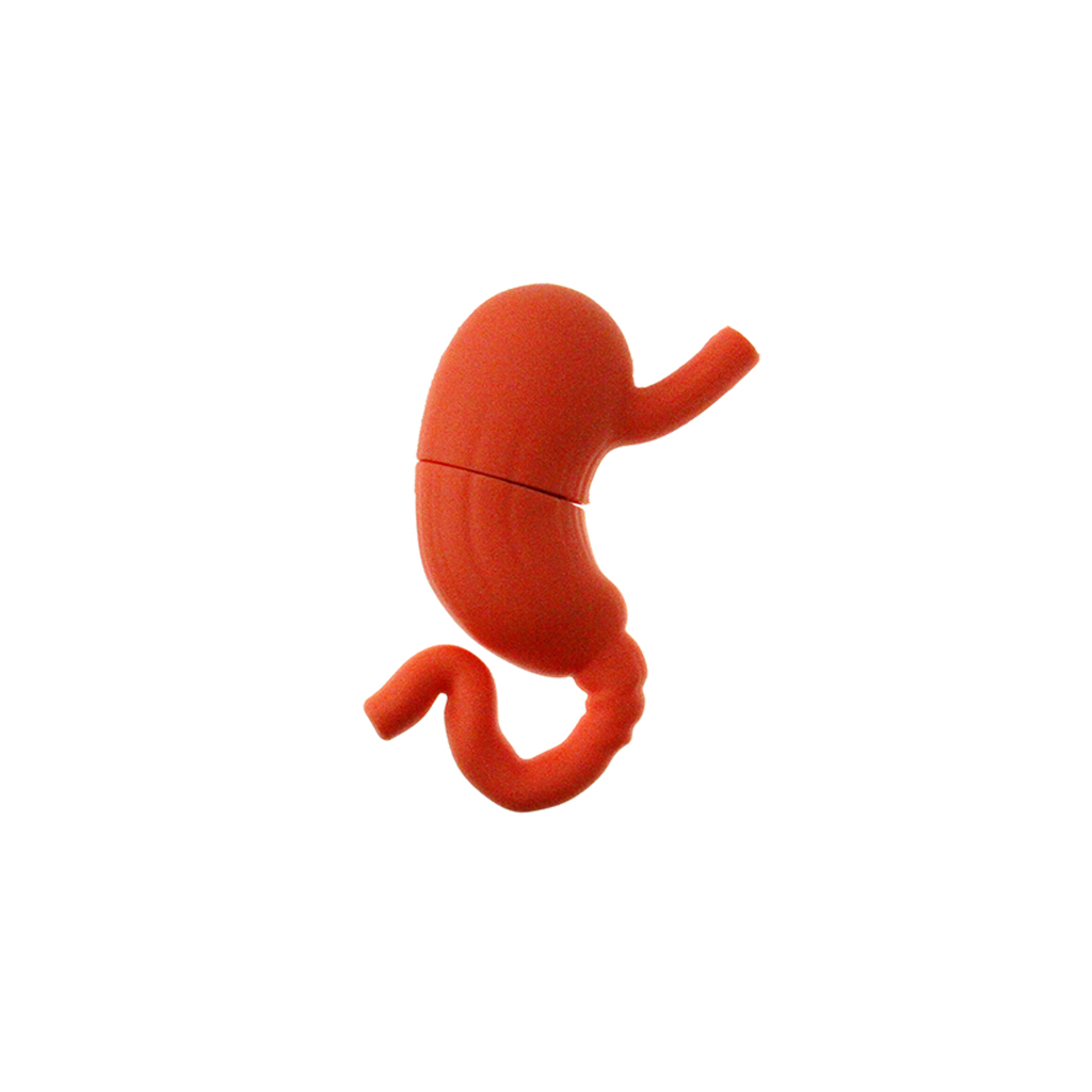 人體器官客製化隨身碟 -人體器官客製化隨身碟